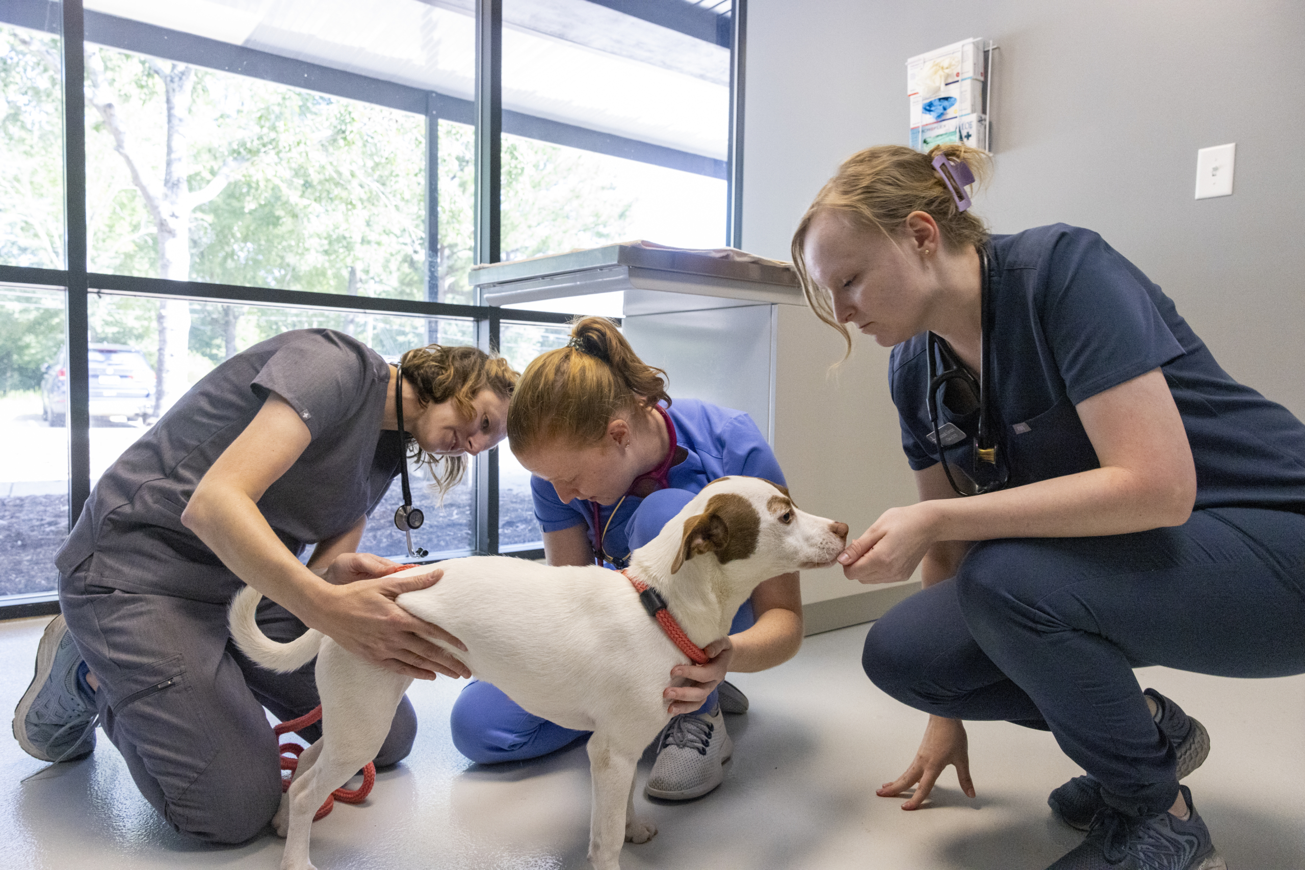 20220914_VET_DMK_MARCM_214.dng