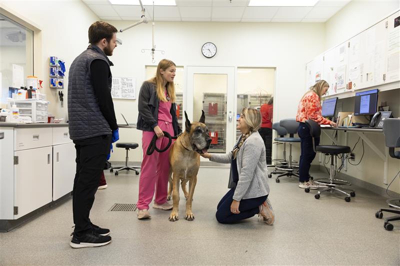 20241009_VM_ADT_MARCM_049