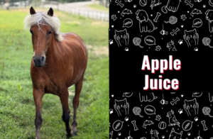 photo of apple juice the horse