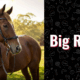 photo of Big Red the horse
