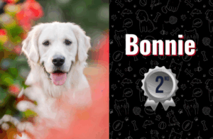 photo of Bonnie