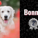 photo of Bonnie