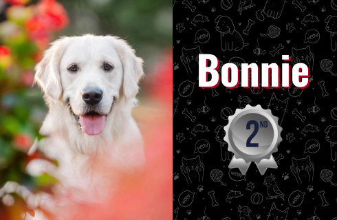 photo of Bonnie