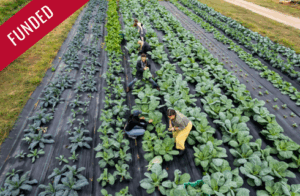 photo of UGArden