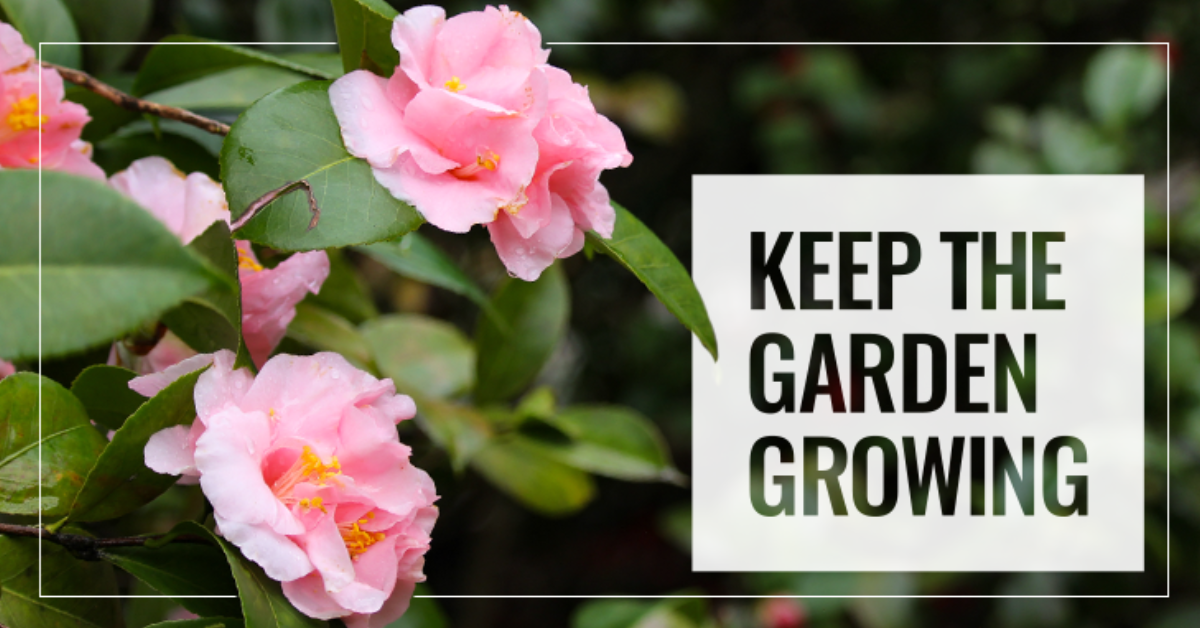 CPH Keep the Garden Growing Funder graphic