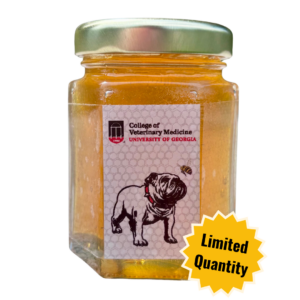 image of this year's honey jar with honey inside