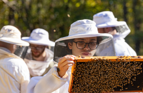 photo of vet med student inspecting beehive
