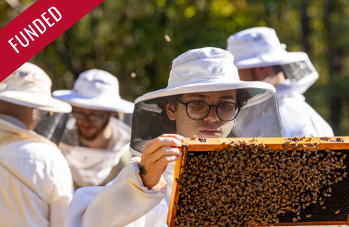 photo of student looking at bees