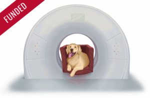 illustration of dog in ct scanner