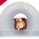illustration of dog in ct scanner