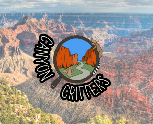 Canyon Critters over photo of canyon