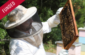 man in bee suit looking a bee hive