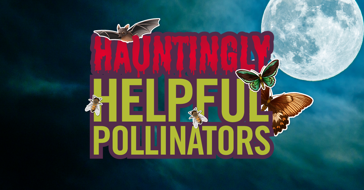 Hauntingly Helpful Pollinators