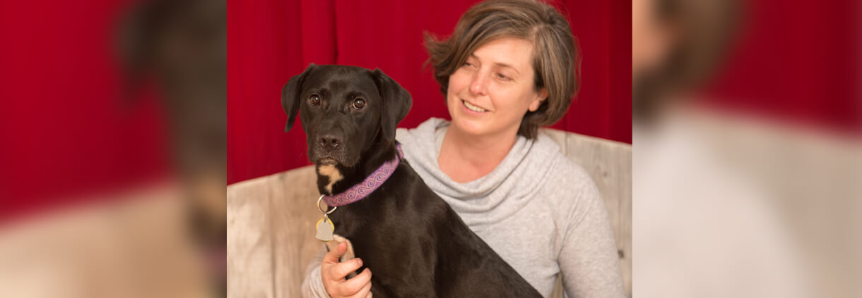 Law School Receives 1 4M Grant To Help Animals Give To UGA