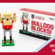 graphic of Hairy Dawg Bulldog blocks