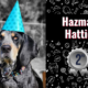 photo of hattie hazmat the dog
