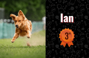 photo of Ian