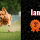 photo of Ian