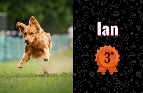 photo of Ian