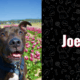 photo of joe the dog