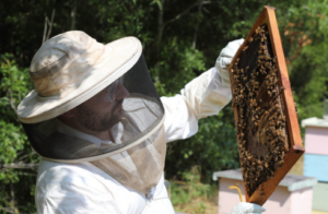 man in bee suit looking a bee hive