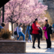 photo of students walking on north campus