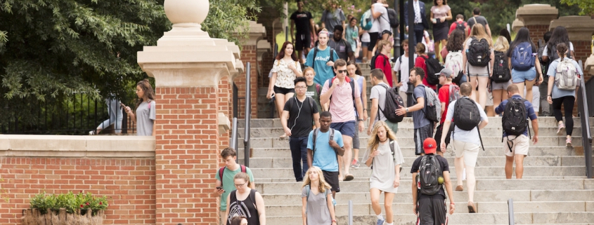 A crowd of students walking at the Baldwin Street stairs during a Summer day.