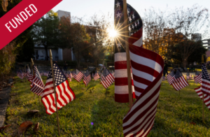 Photo of American flags displayed on a lawn at UGA