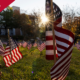 Photo of American flags displayed on a lawn at UGA