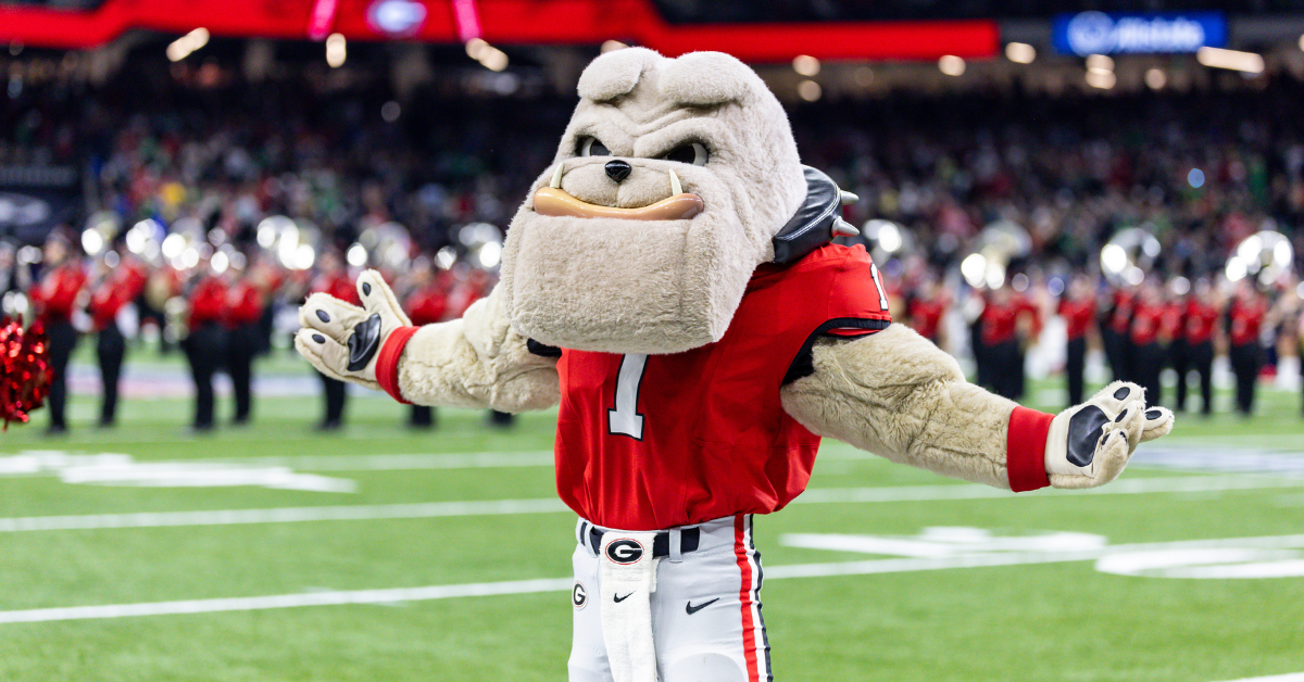 photo of Hairy Dawg on the football field