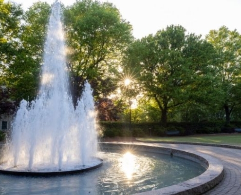 Herty Foundation pictured with sunlight filtered through green trees.