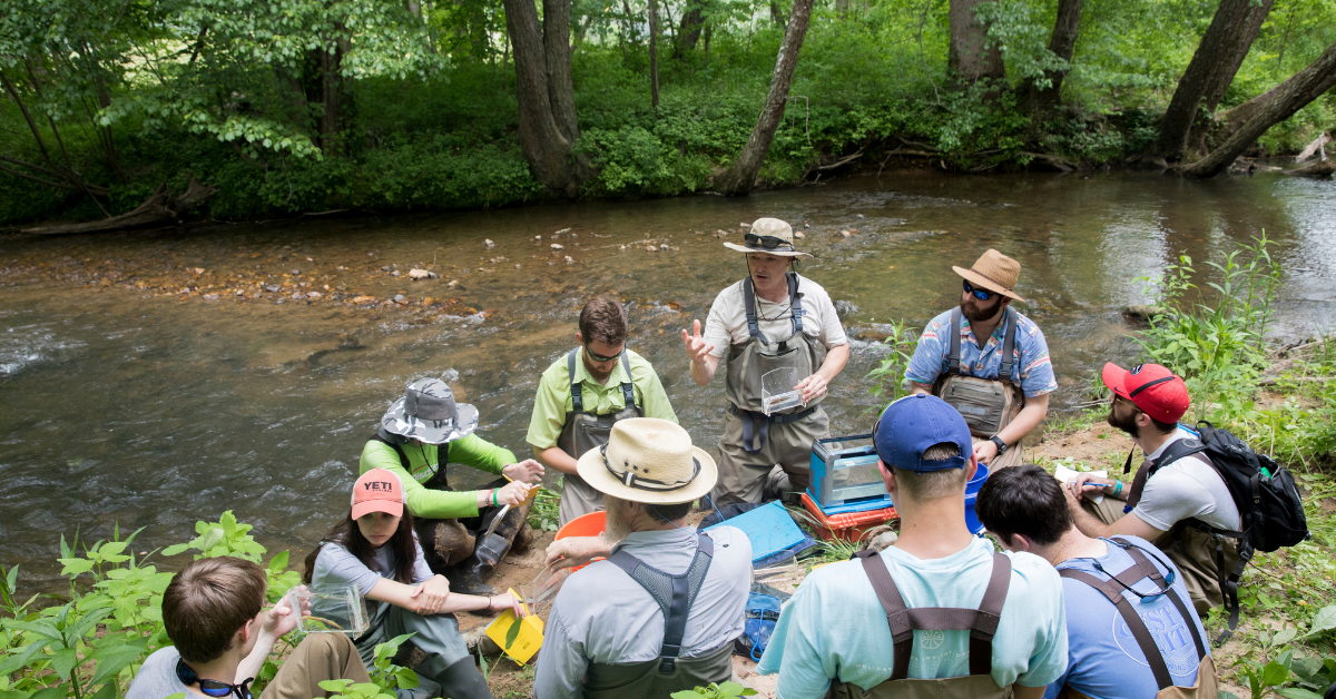 Warnell students and professors